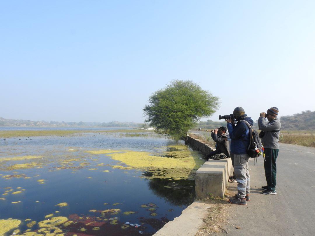 Birding with university students at Raoli-Todgarh Wildlife Sanctuary in Rajasthan.